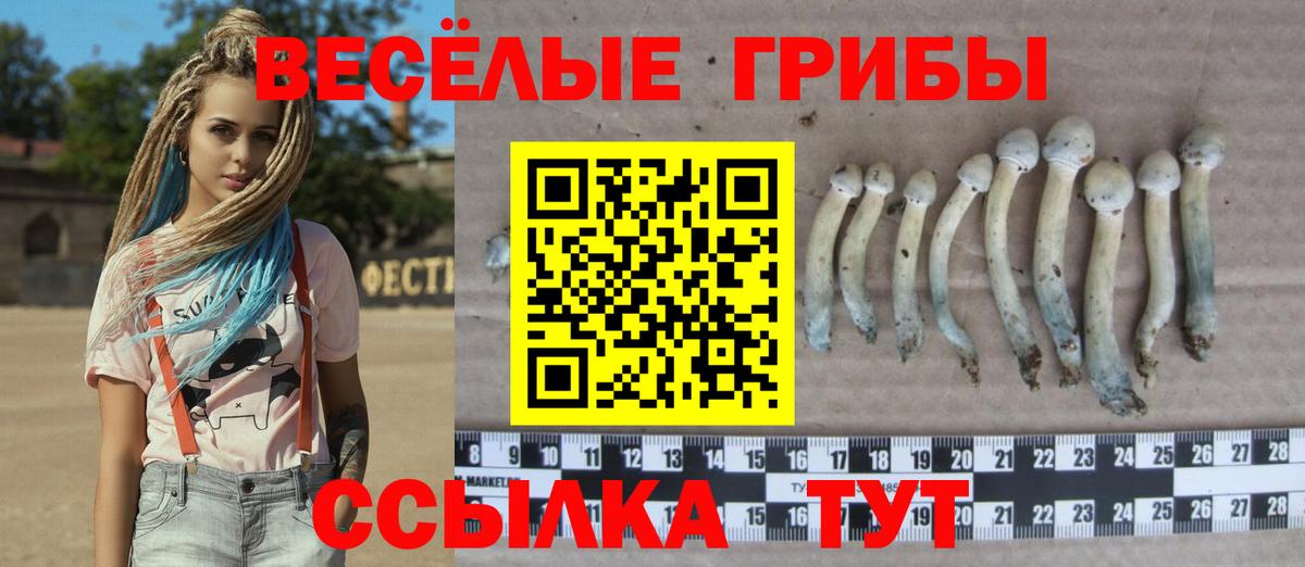 Галлюциногенные грибы мицелий Партизанск
